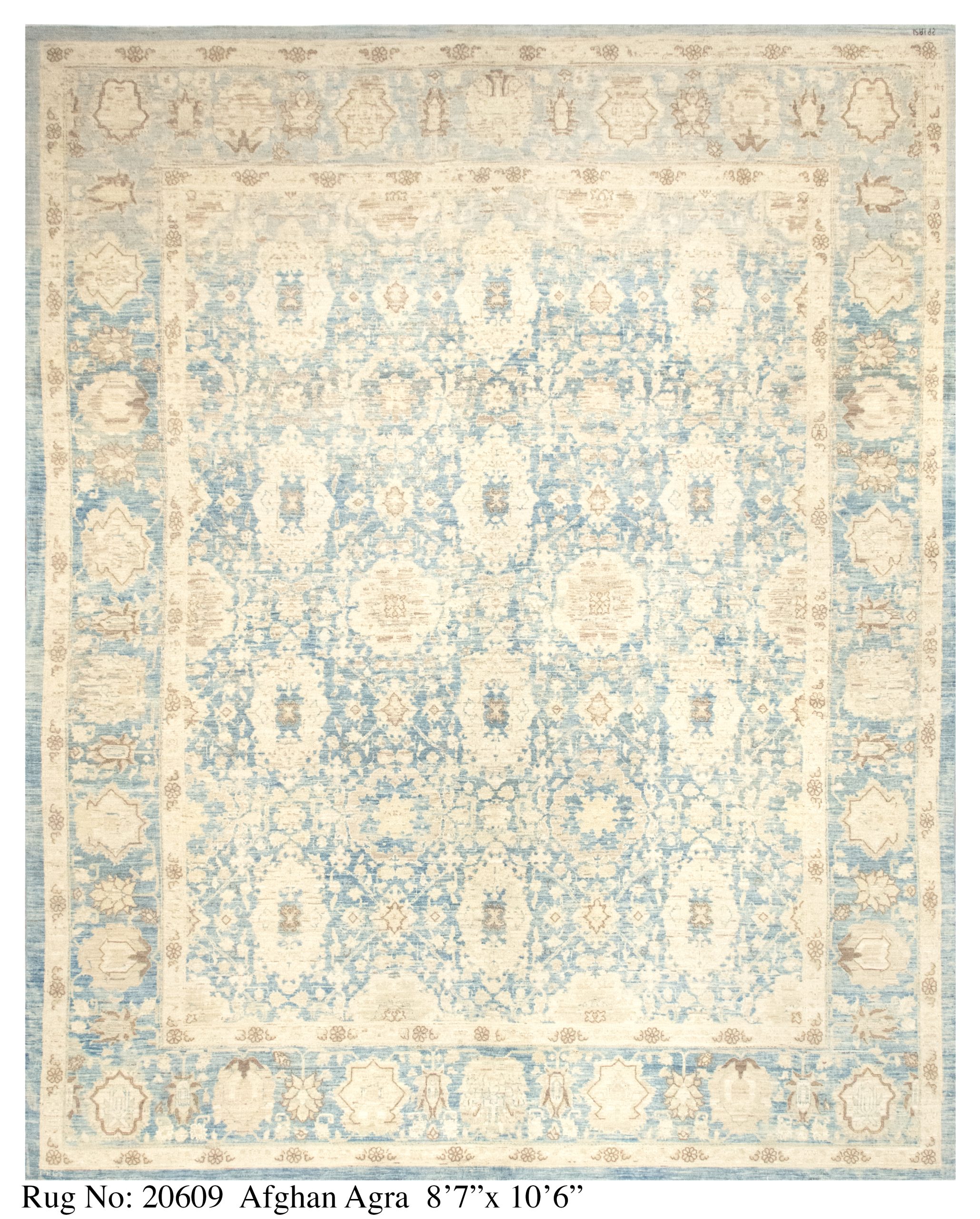Rug # 20609 Picture # D4157