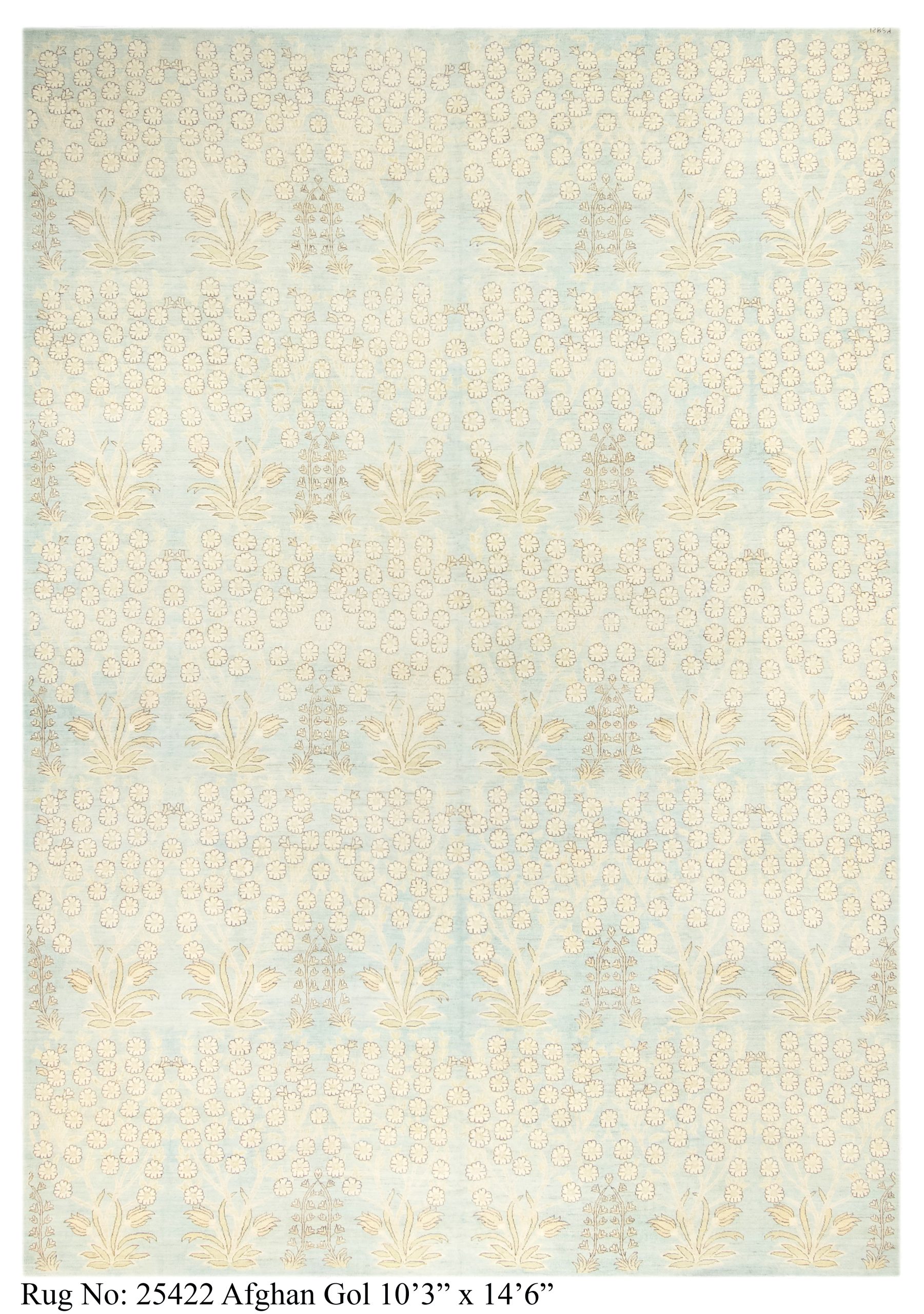Rug # 25422 Picture # D2485