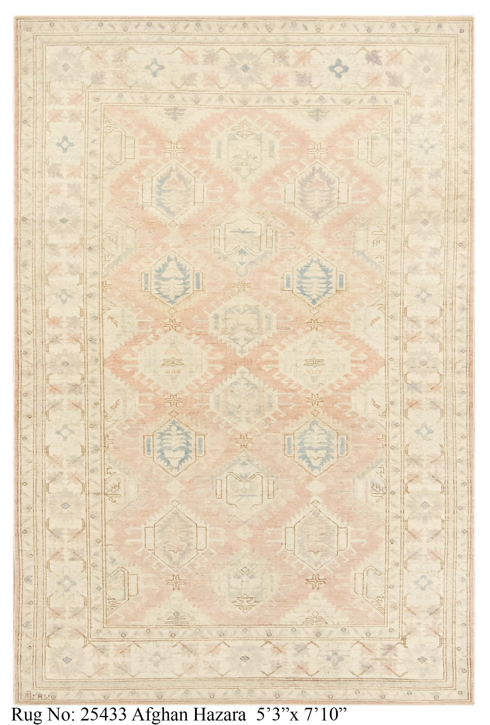 Rug # 25433 Picture # D2509