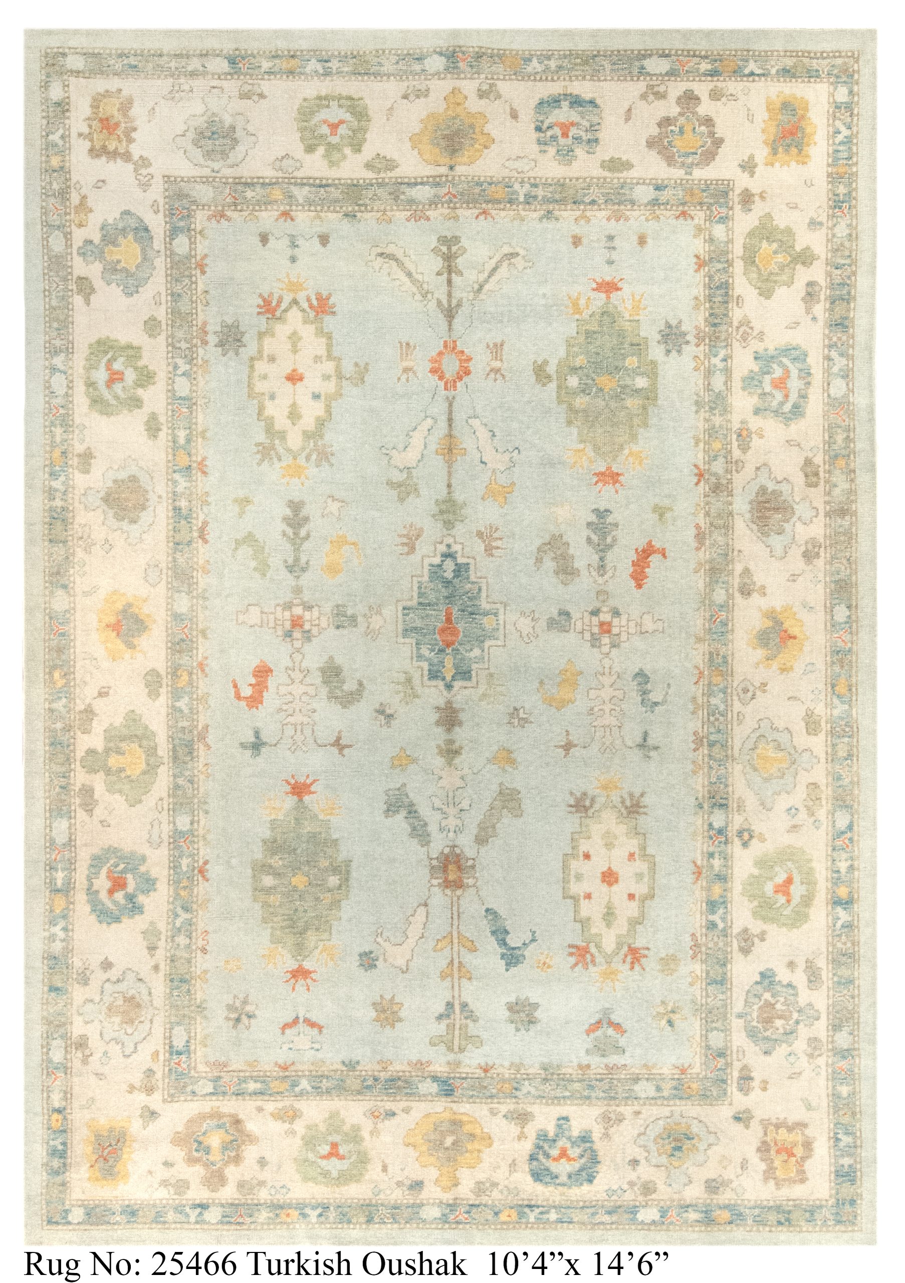 Rug # 25466 Picture # D2662