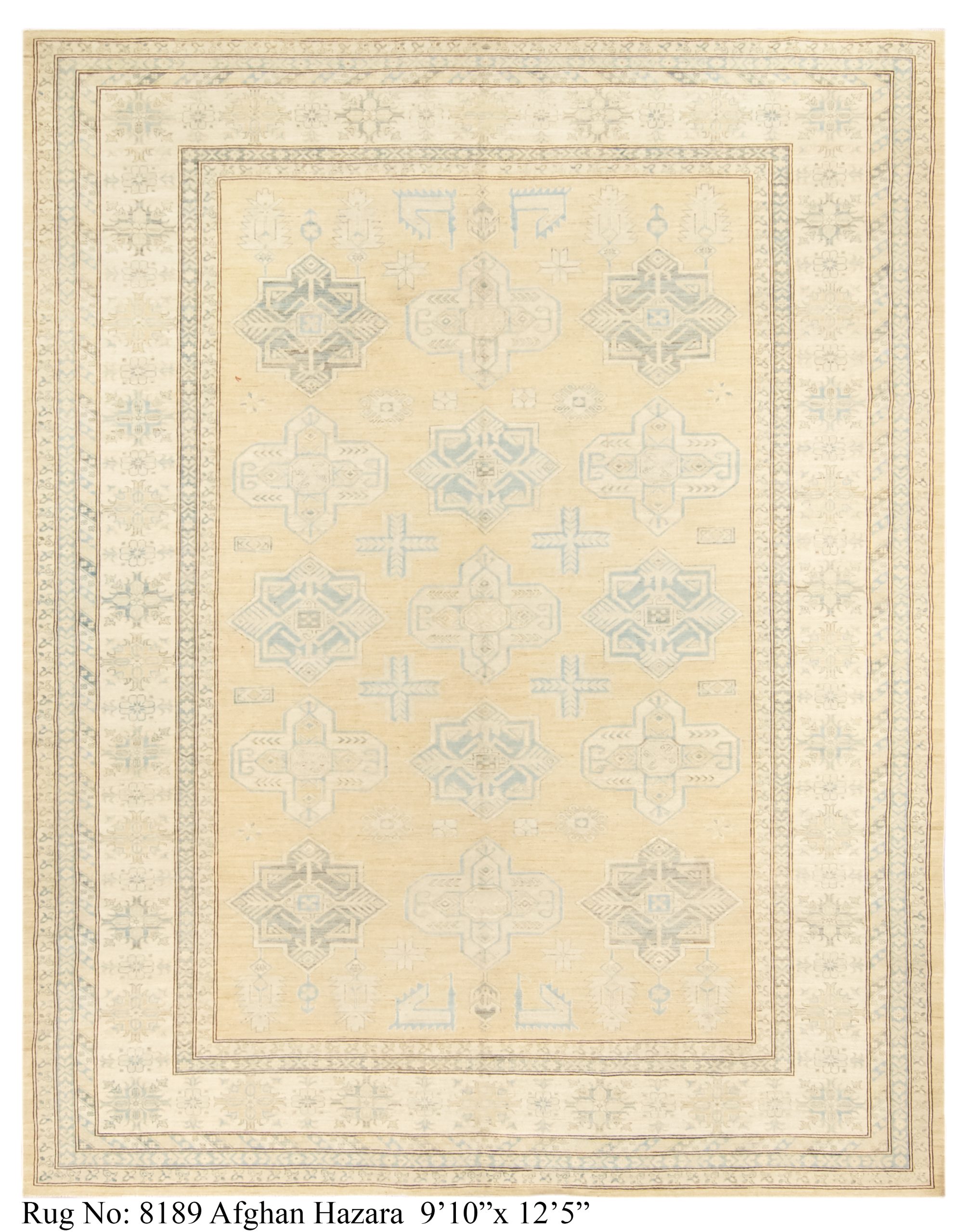 Rug # 8189 Picture # D2620