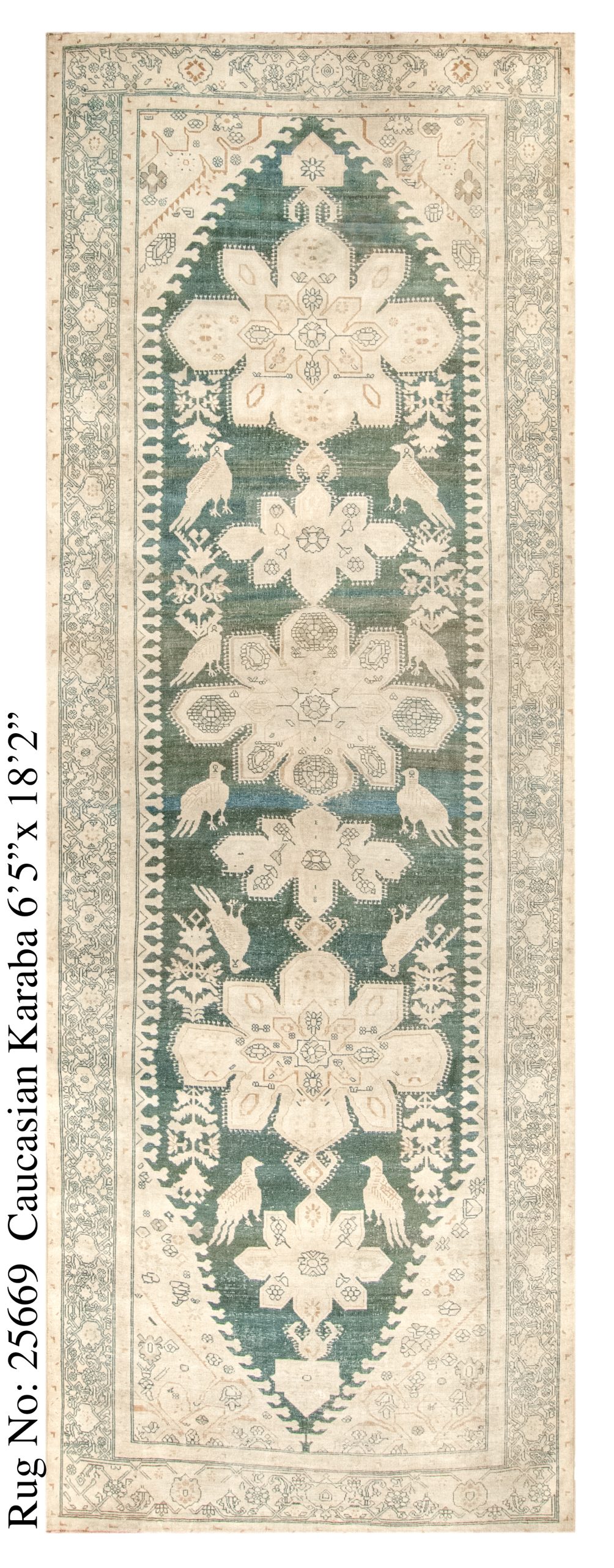 Rug # 25669