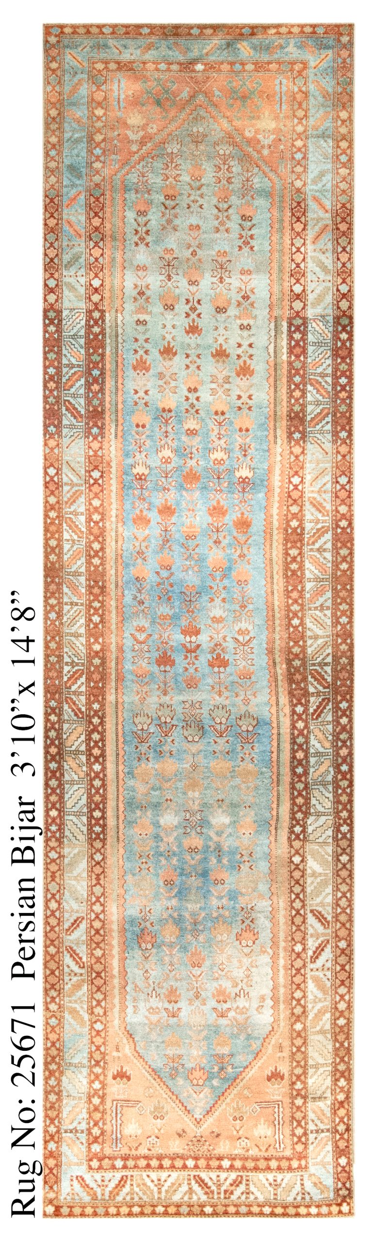 Rug # 25671