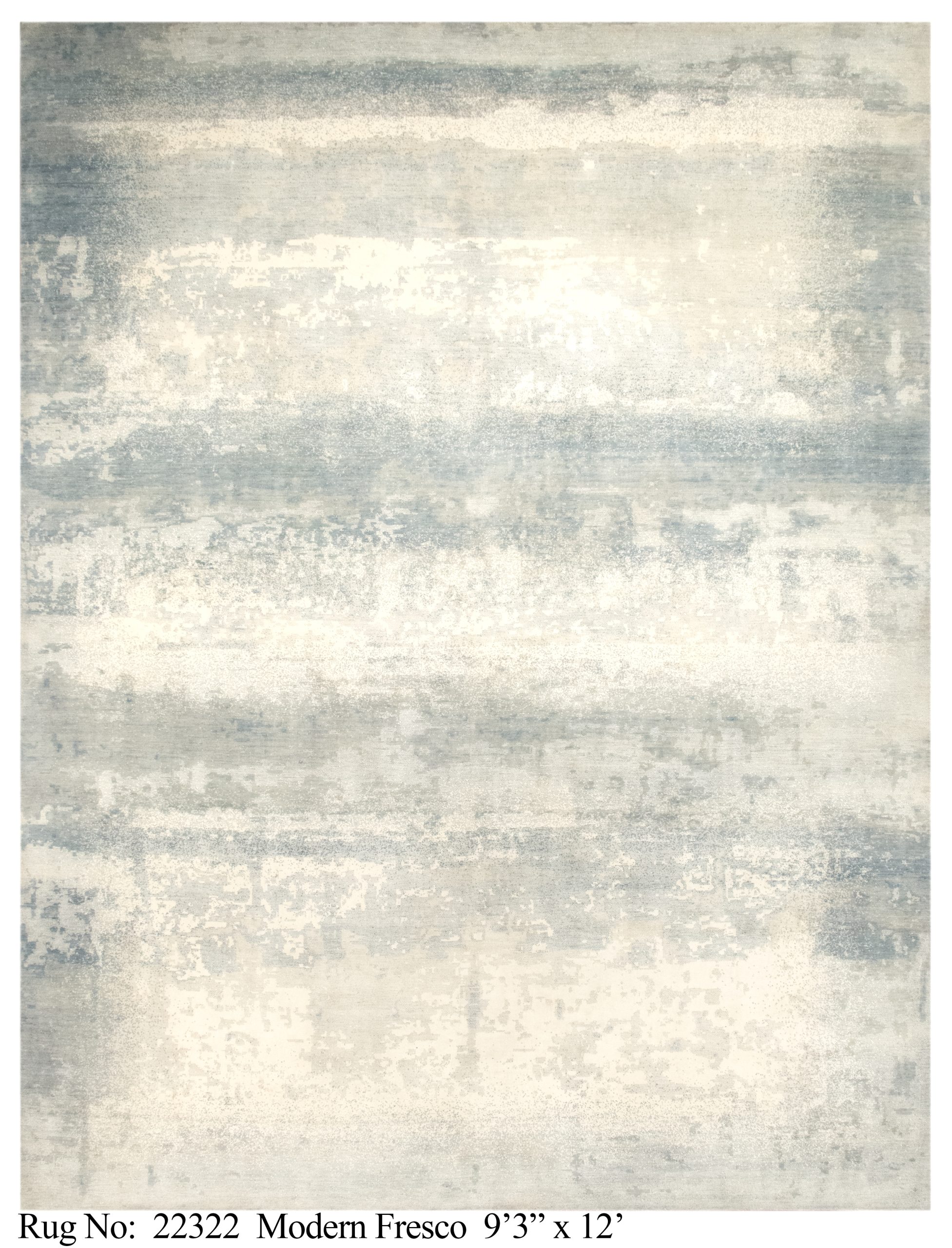 Rug # 22322 Picture # D3752