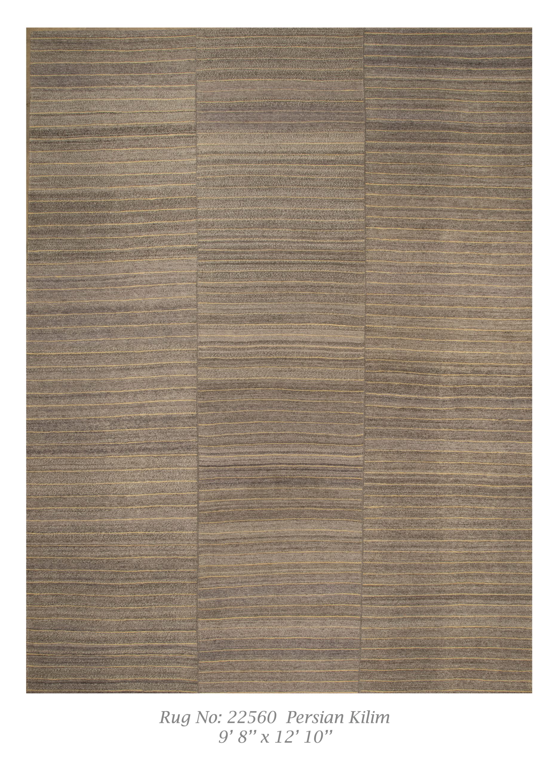 Rug # 22560 Picture # C2843