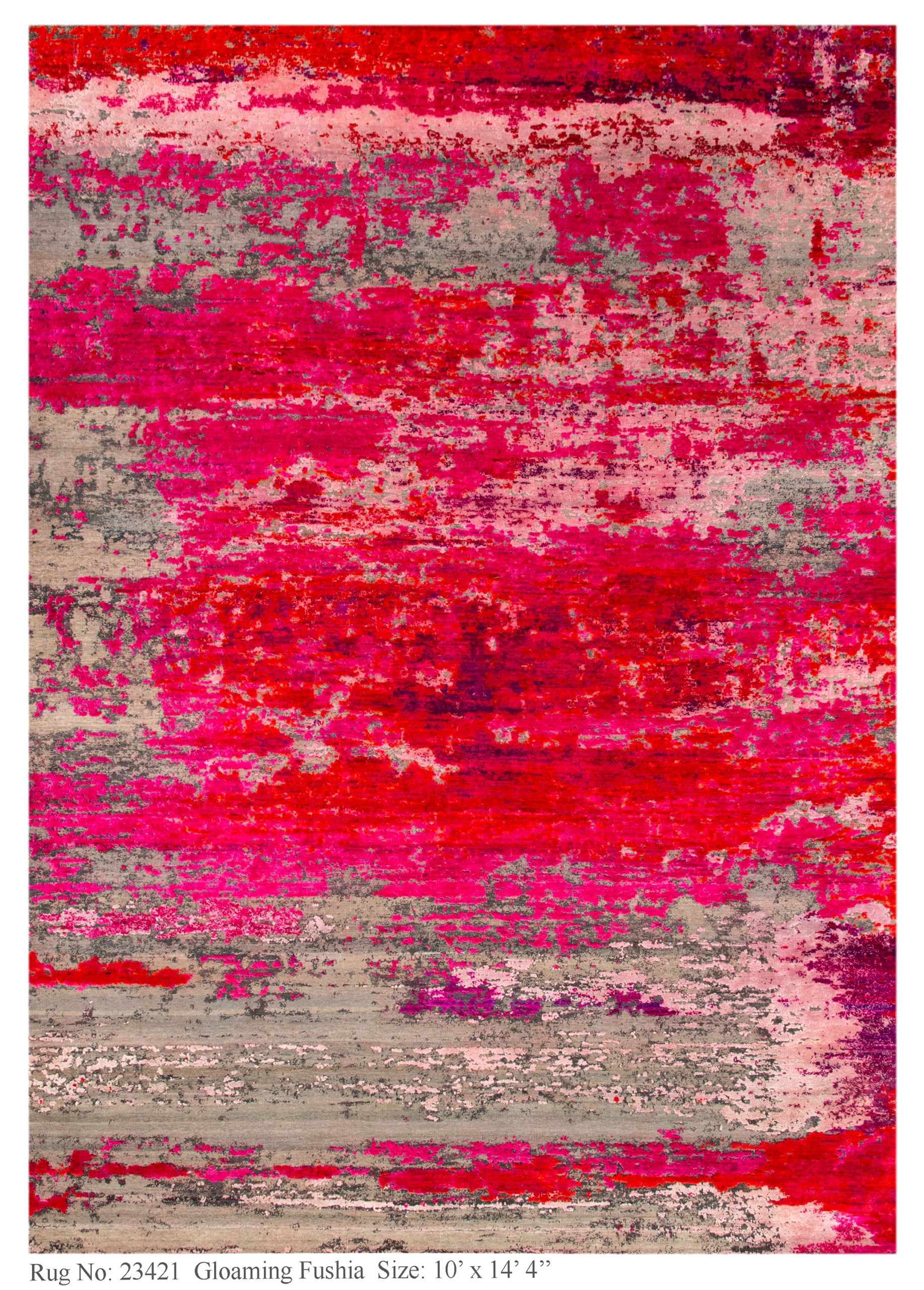 Rug # 23421 Picture # C4984