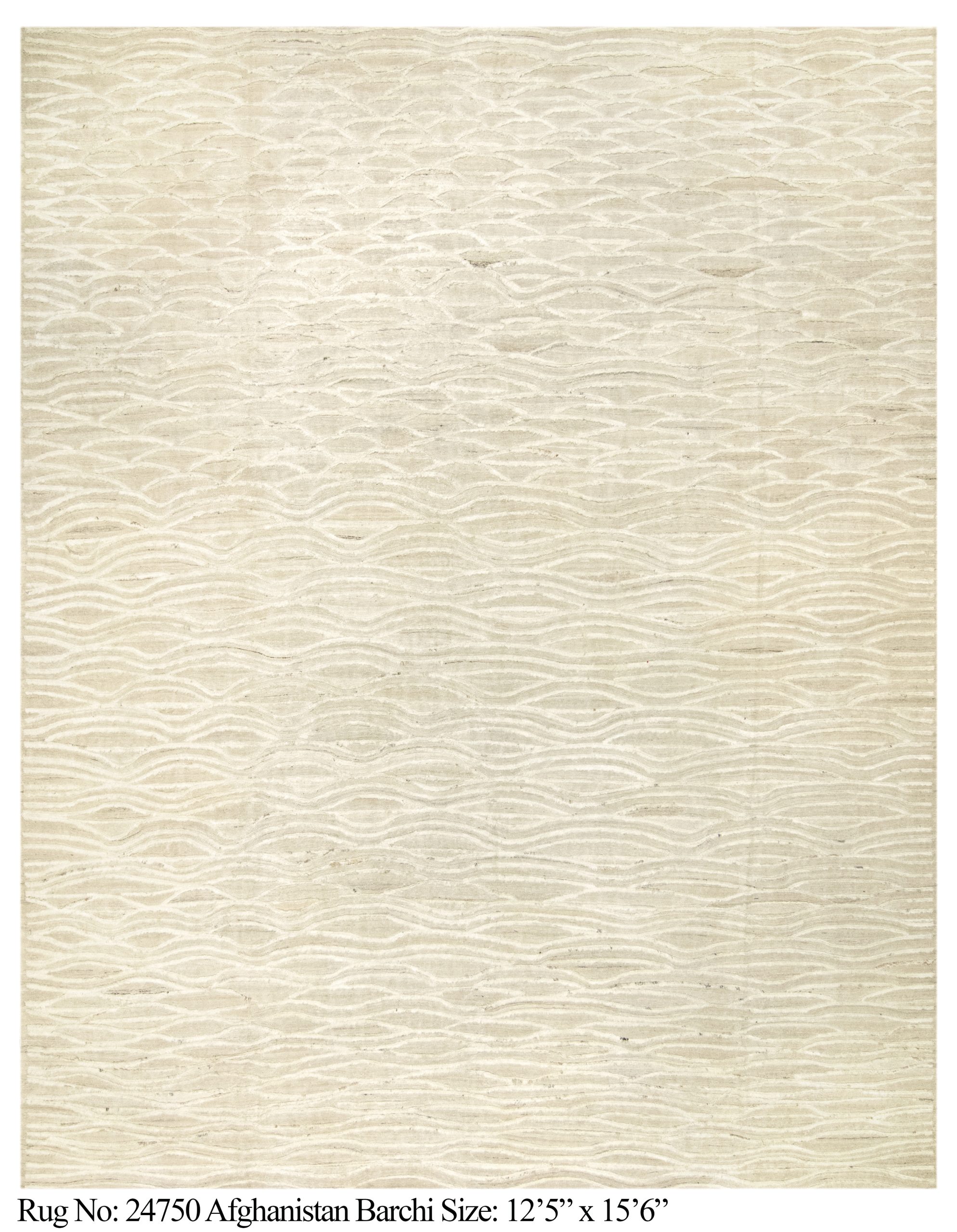 Rug # 24750 Picture # C9975
