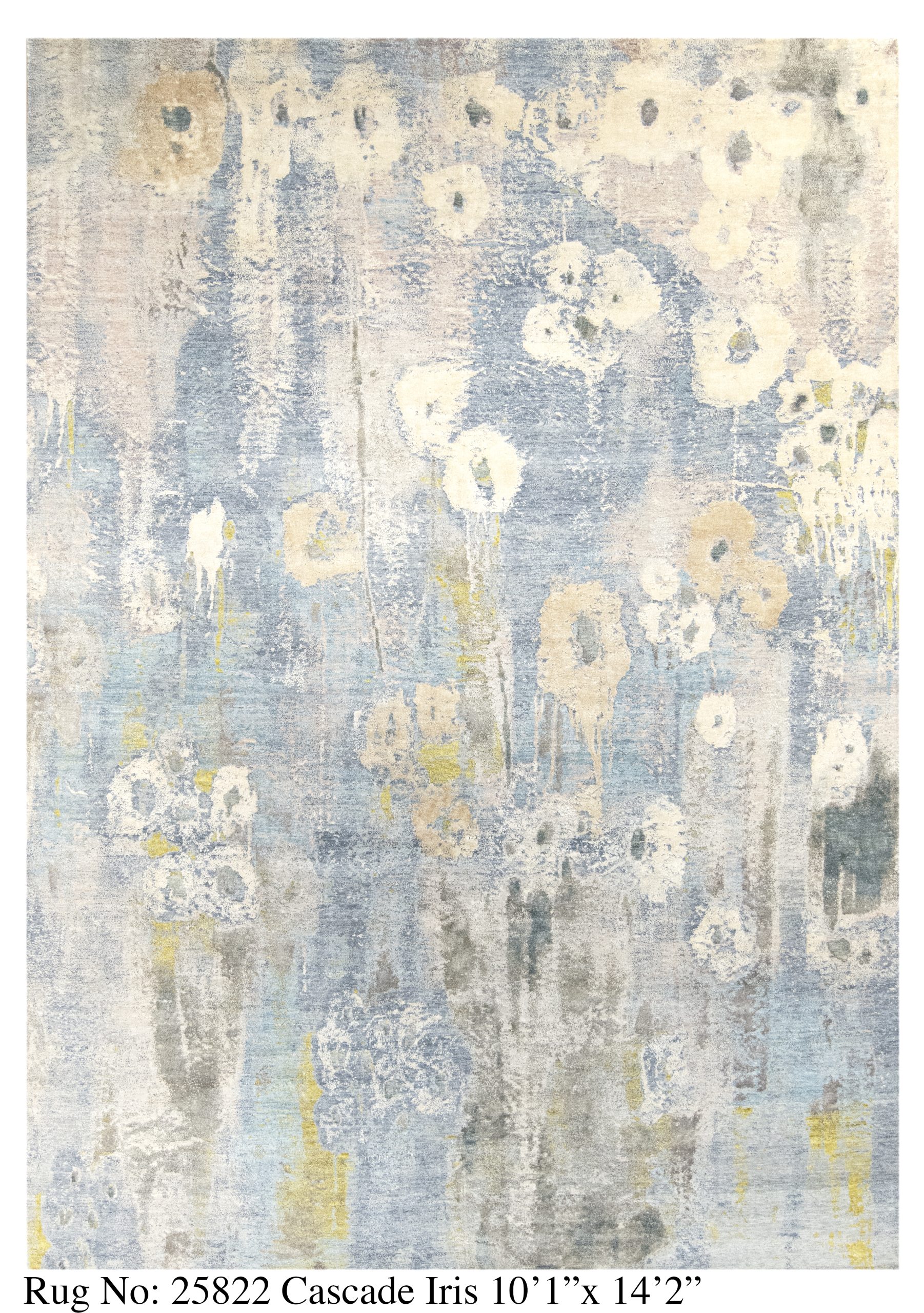 Rug # 25822 Picture # D5525