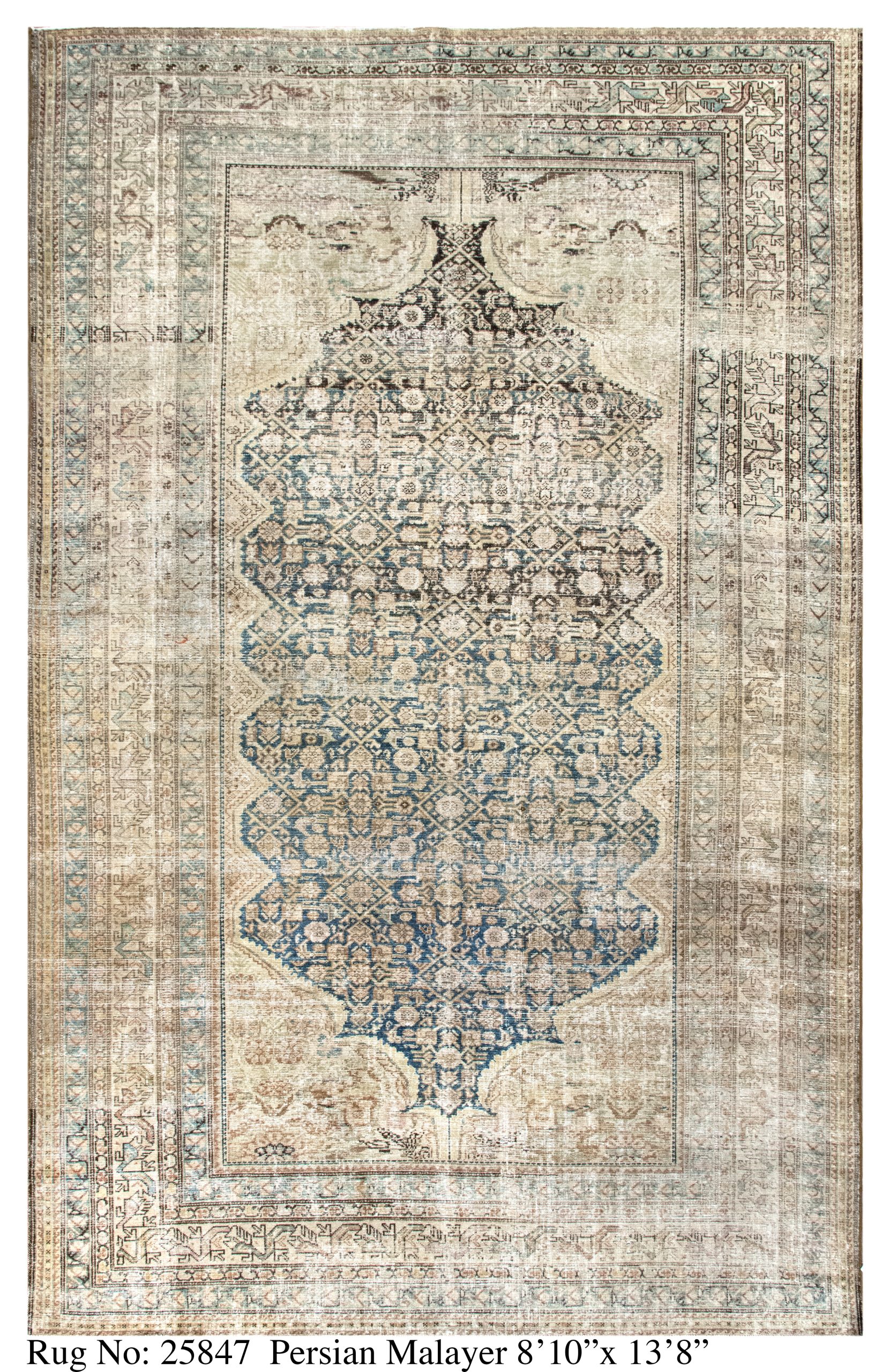 Rug # 25847 Picture # D5684