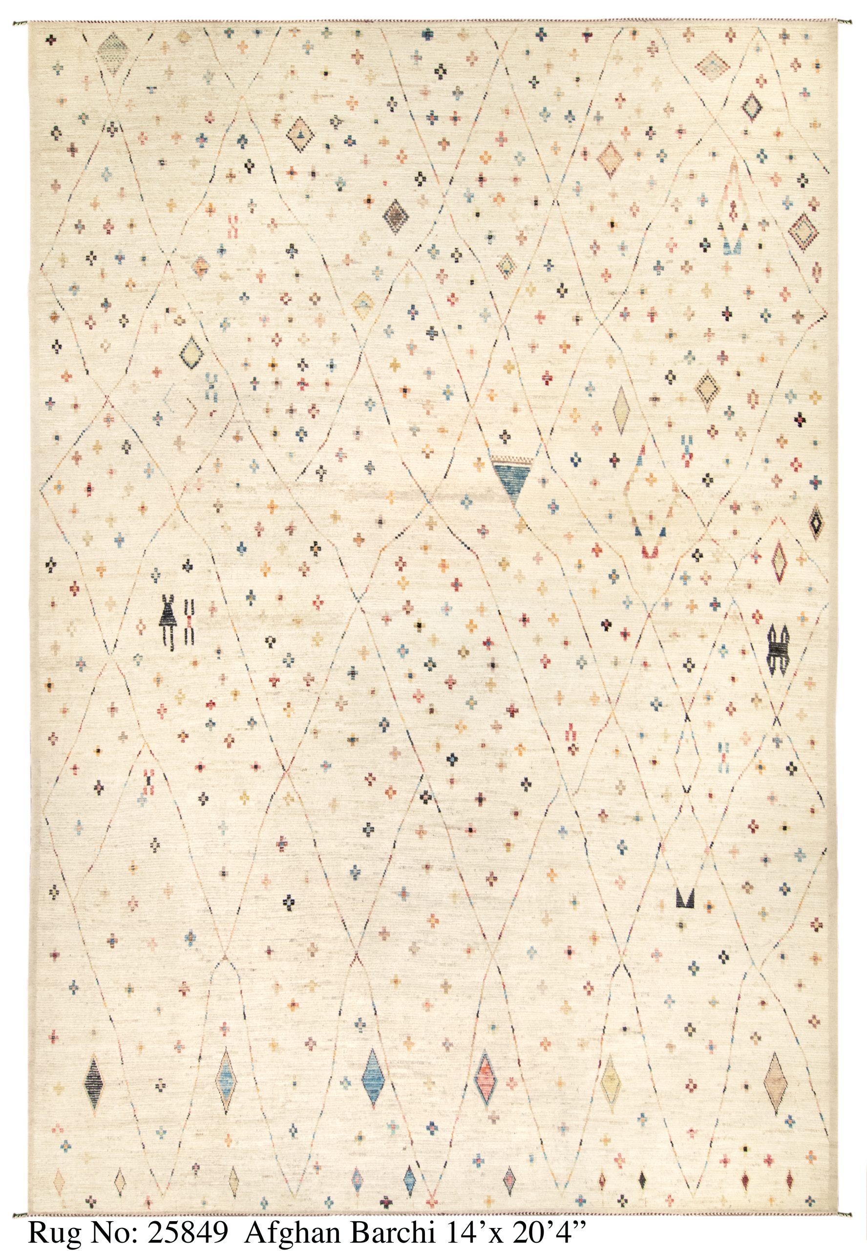 Rug # 25849 Picture # D5848