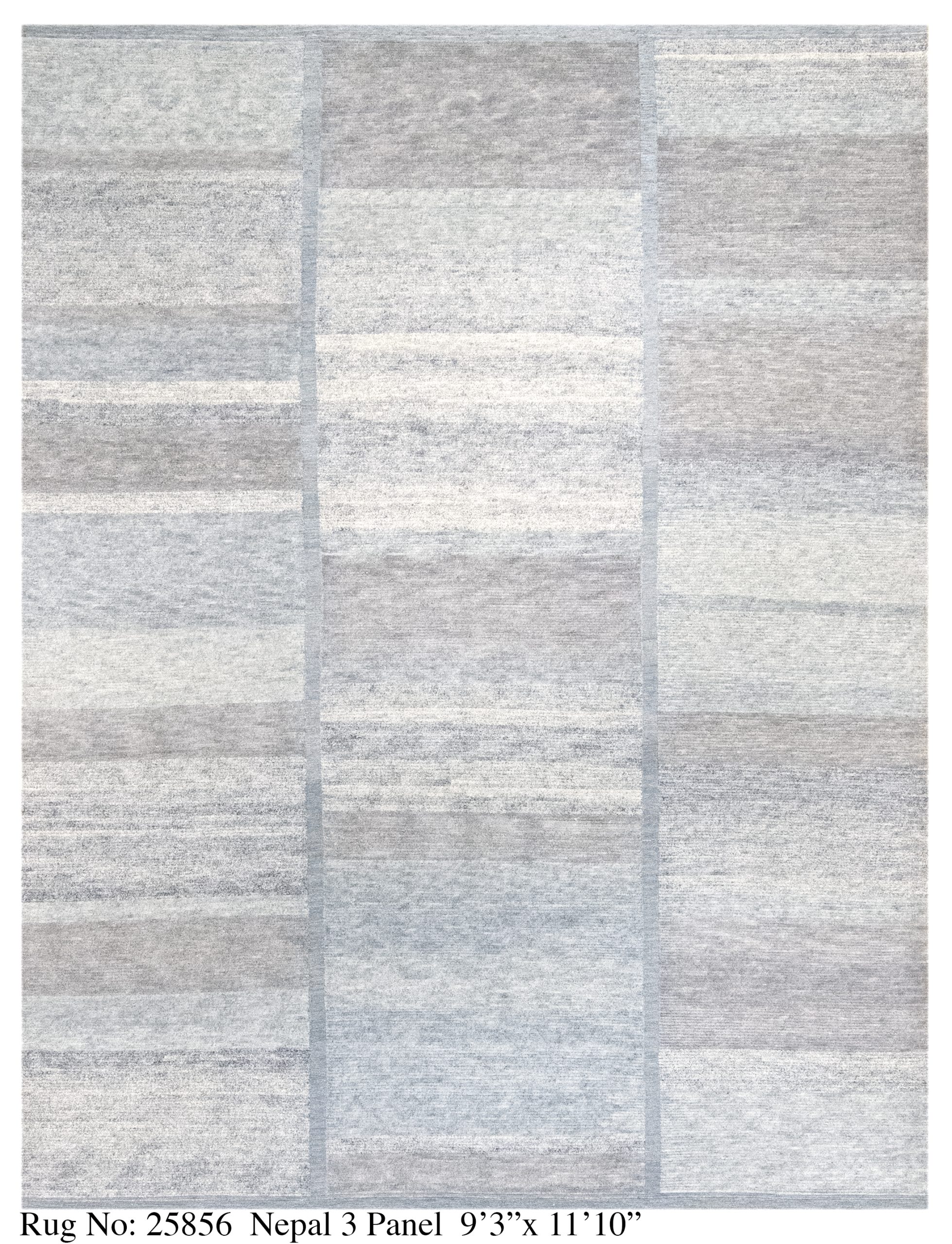 Rug # 25856 Picture # D5930
