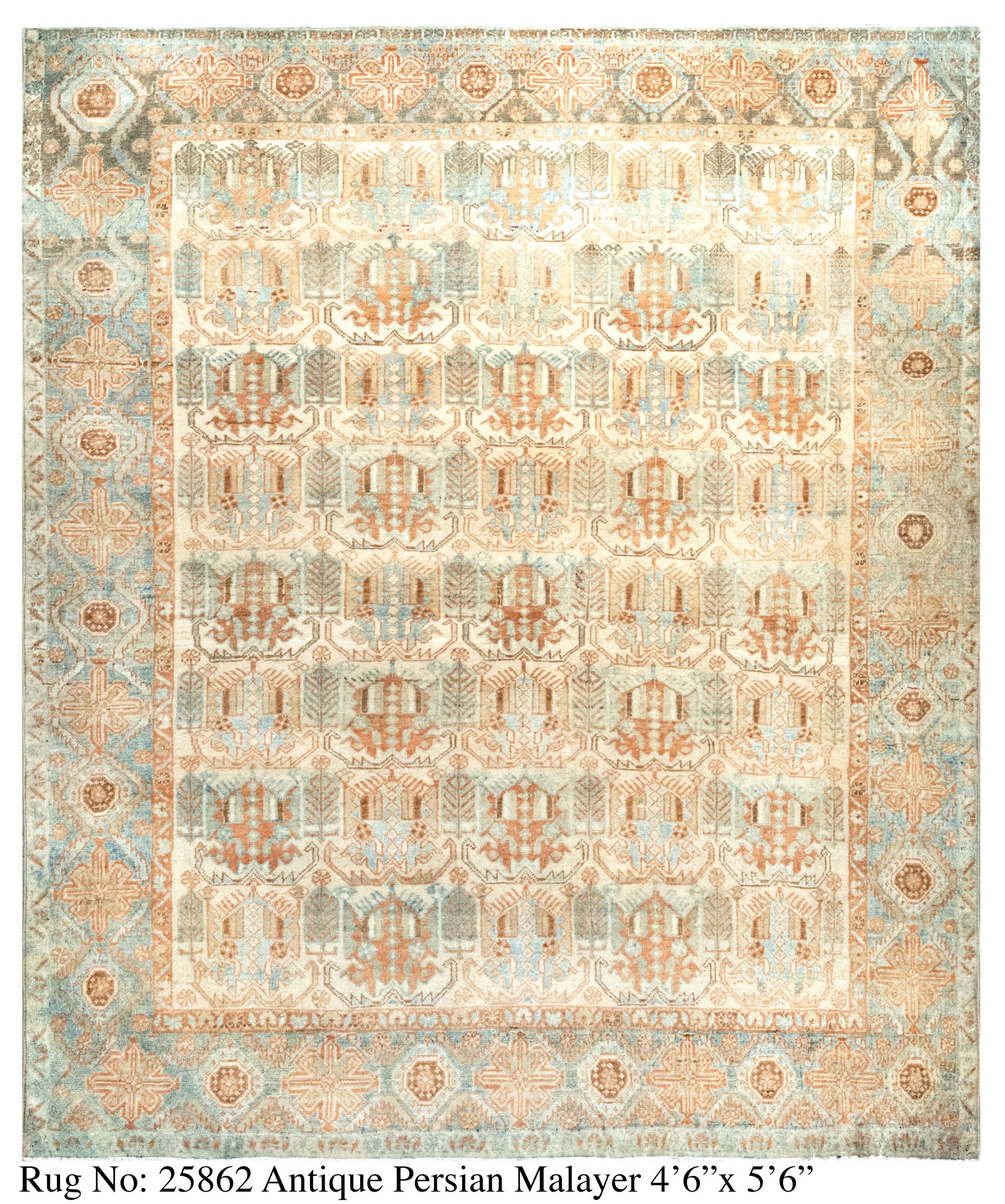 Rug # 25862 Picture # D6118