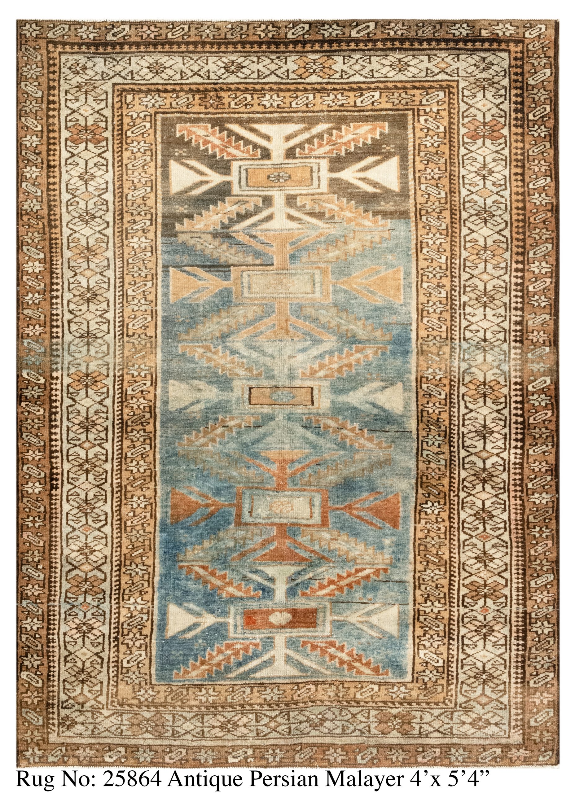 Rug # 25864 Picture # D6111