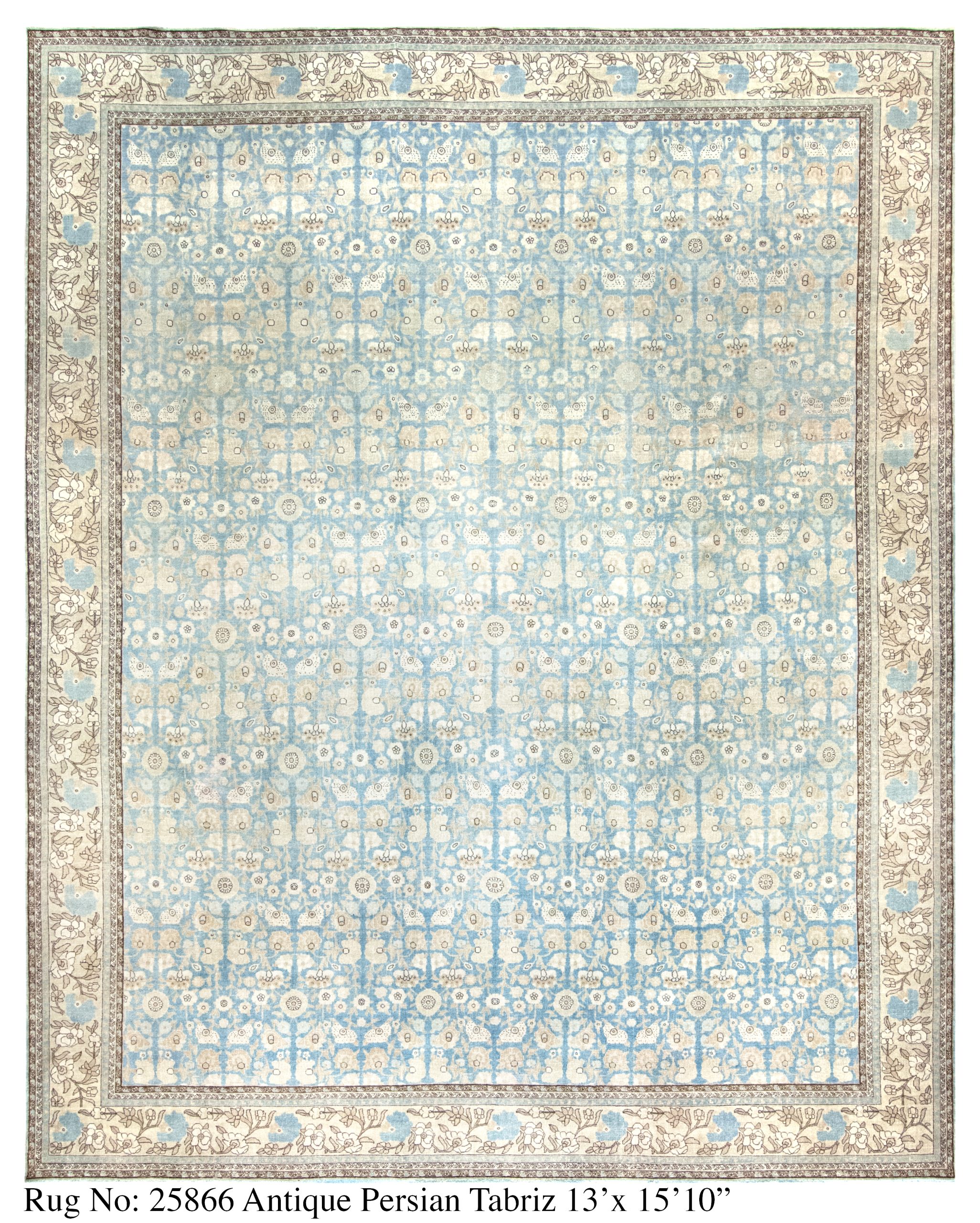 Rug # 25866 Picture # D6149