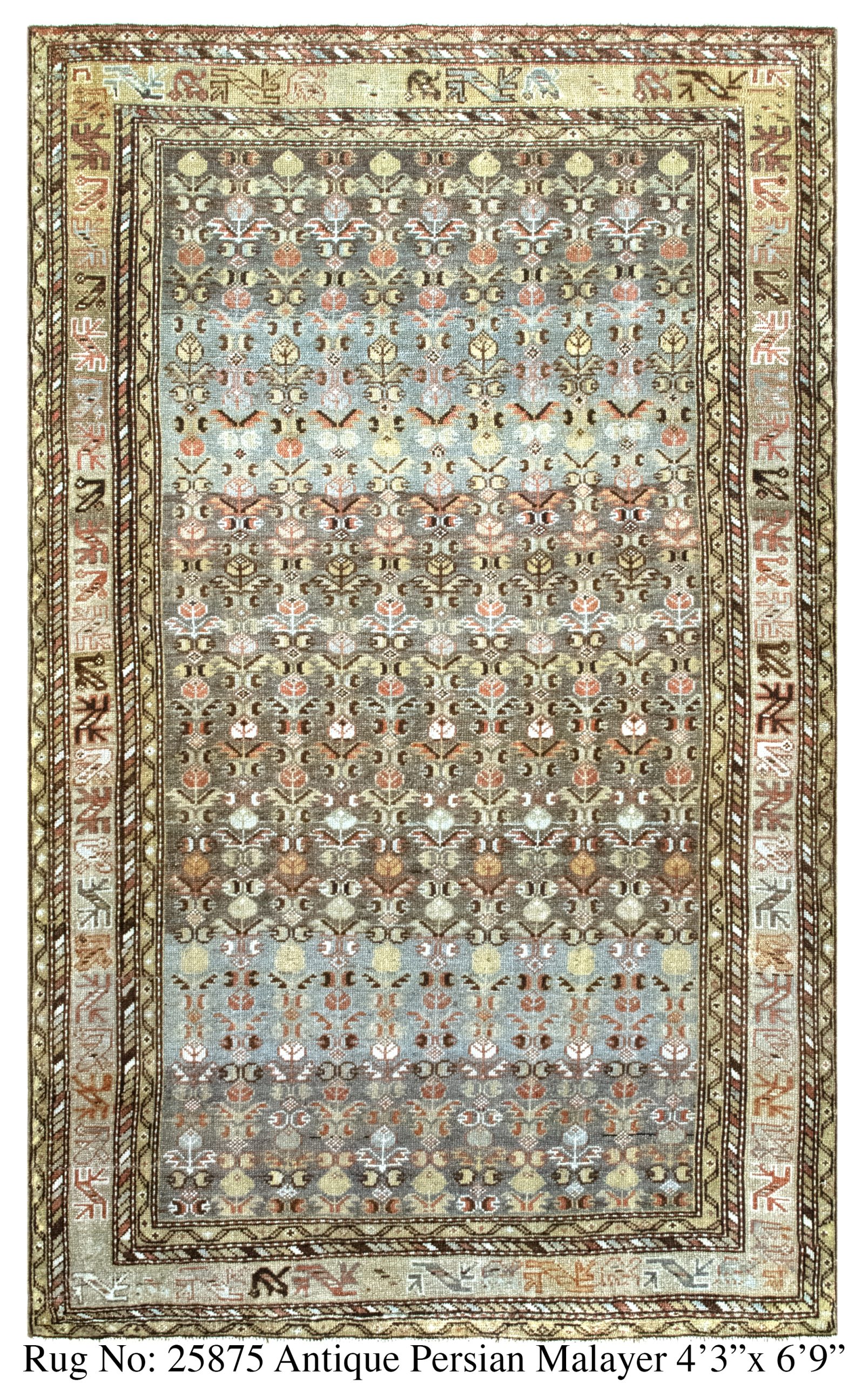 Rug # 25875 Picture # D6173