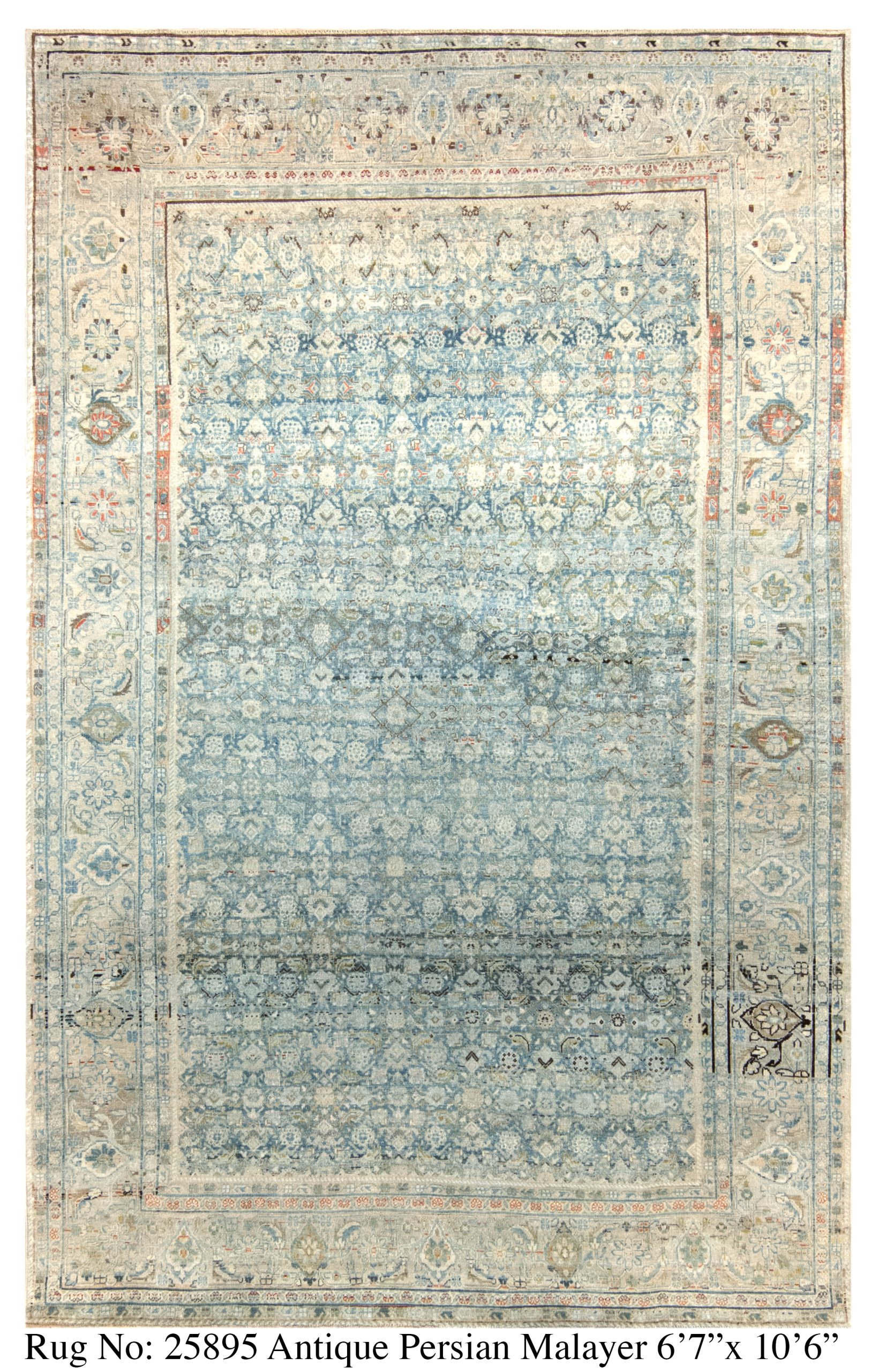 Rug # 25895 Picture # D6600