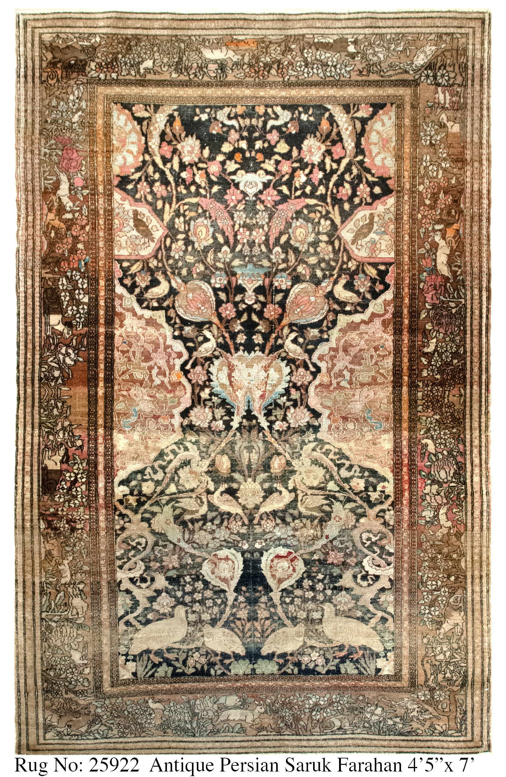 Rug # 25922 Picture # D7280