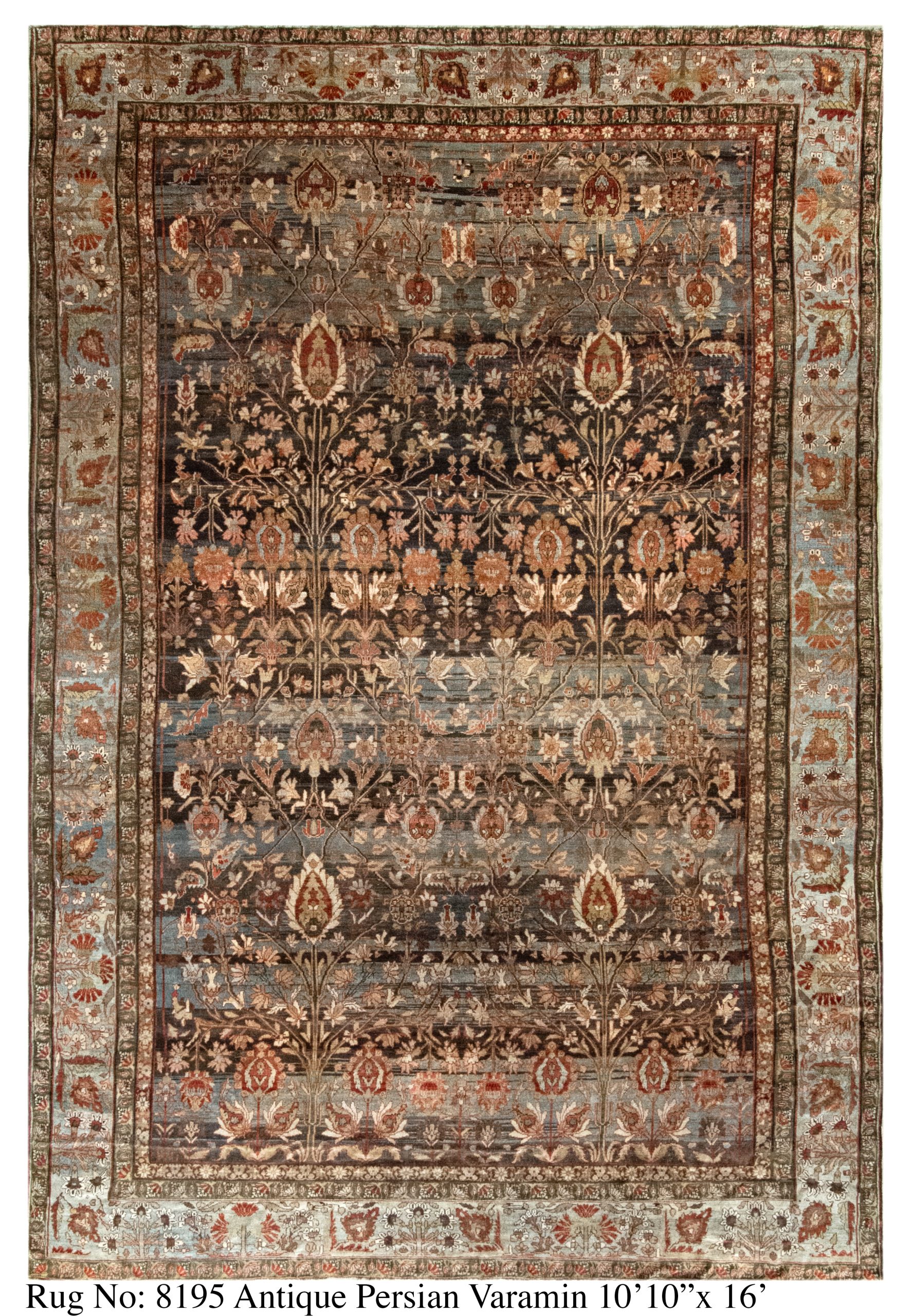 Rug # 8195 Picture # D5633