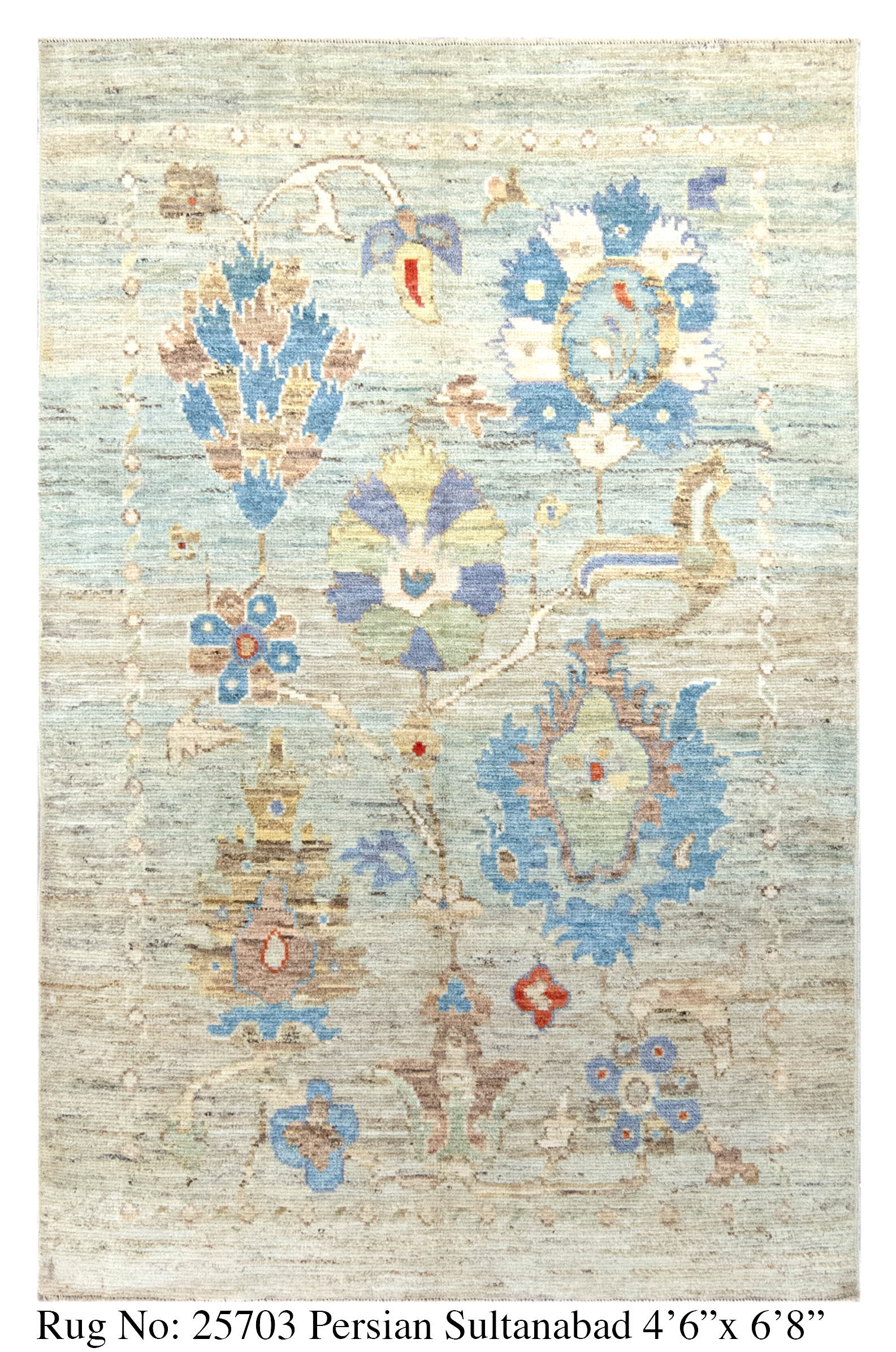 Rug # 25703 Picture # D5401