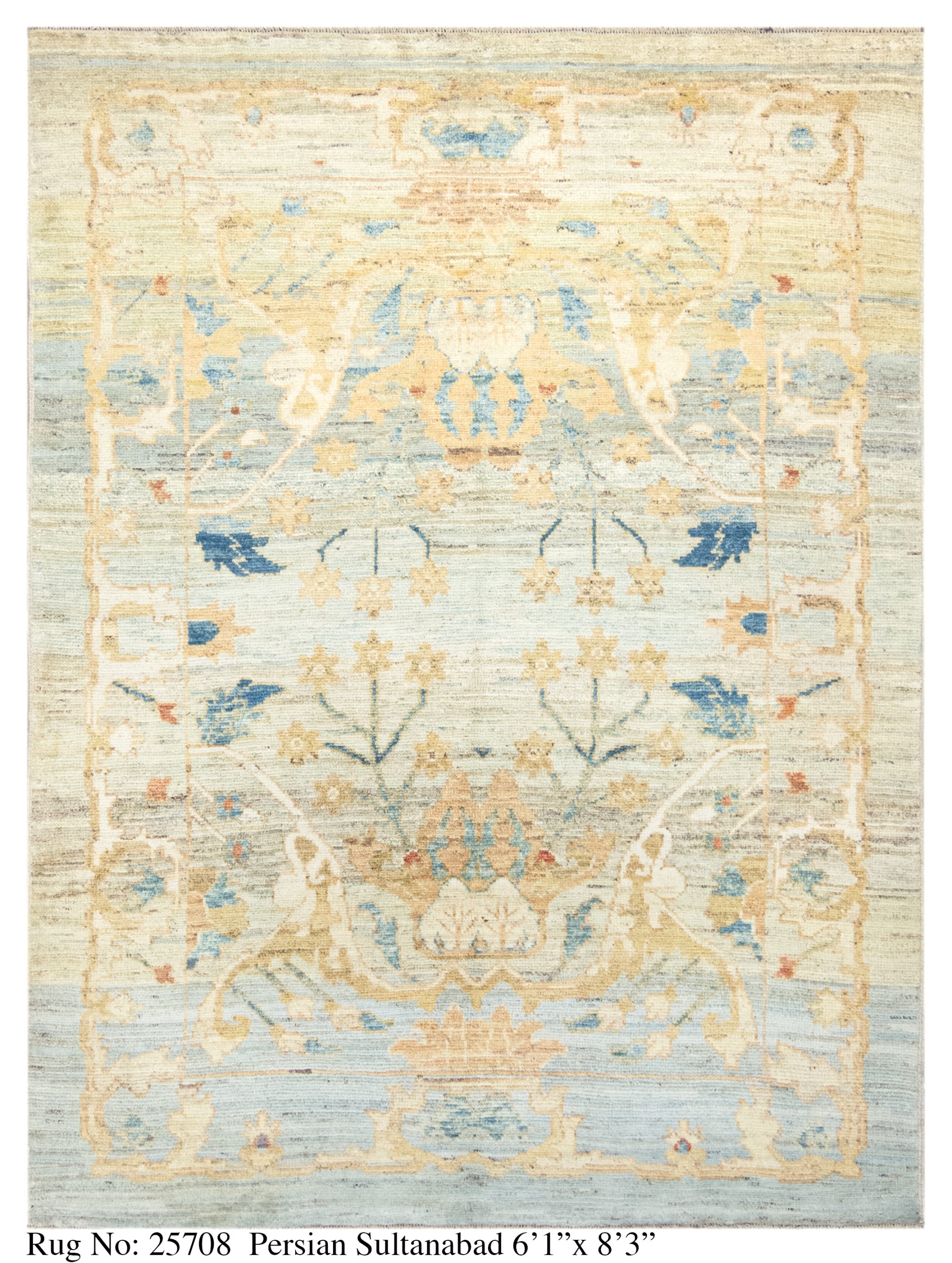Rug # 25708 Picture # D5379