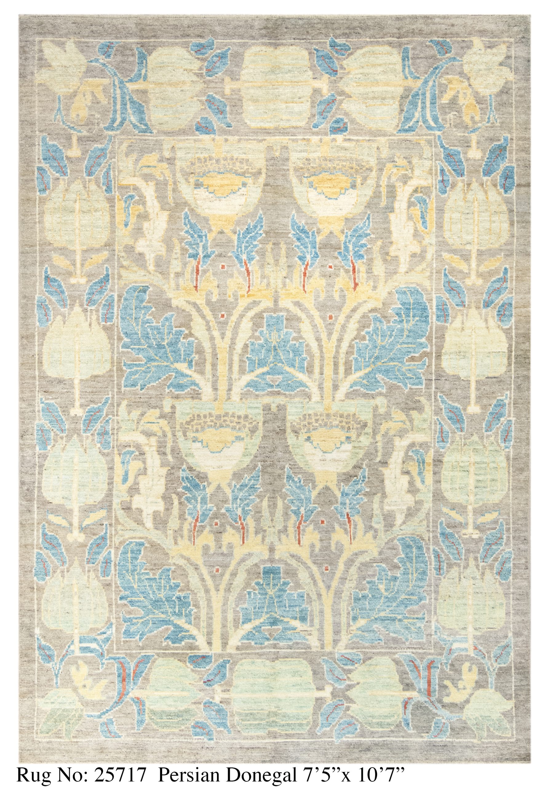 Rug # 25717 Picture # D5370