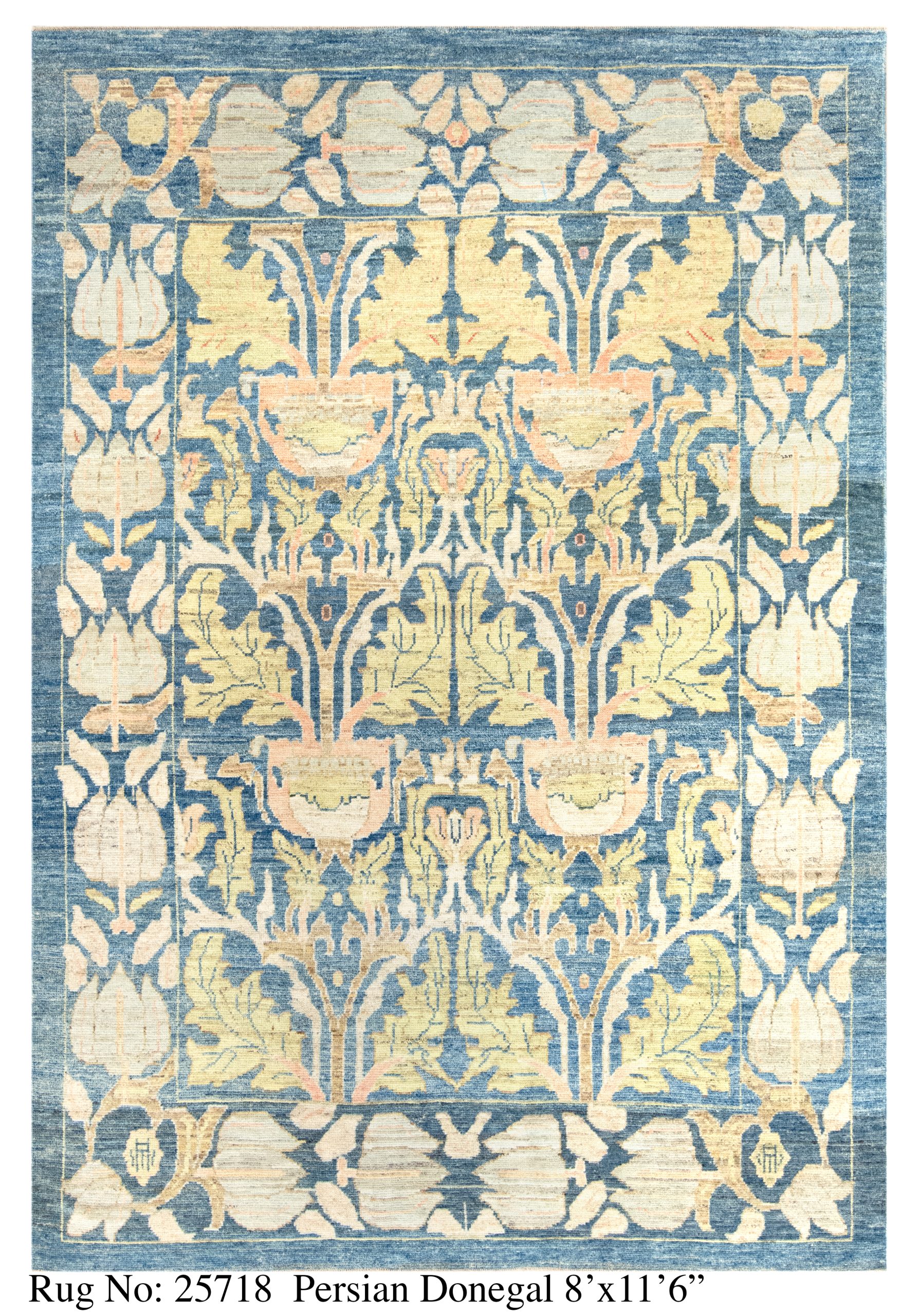 Rug # 25718 Picture # D5361