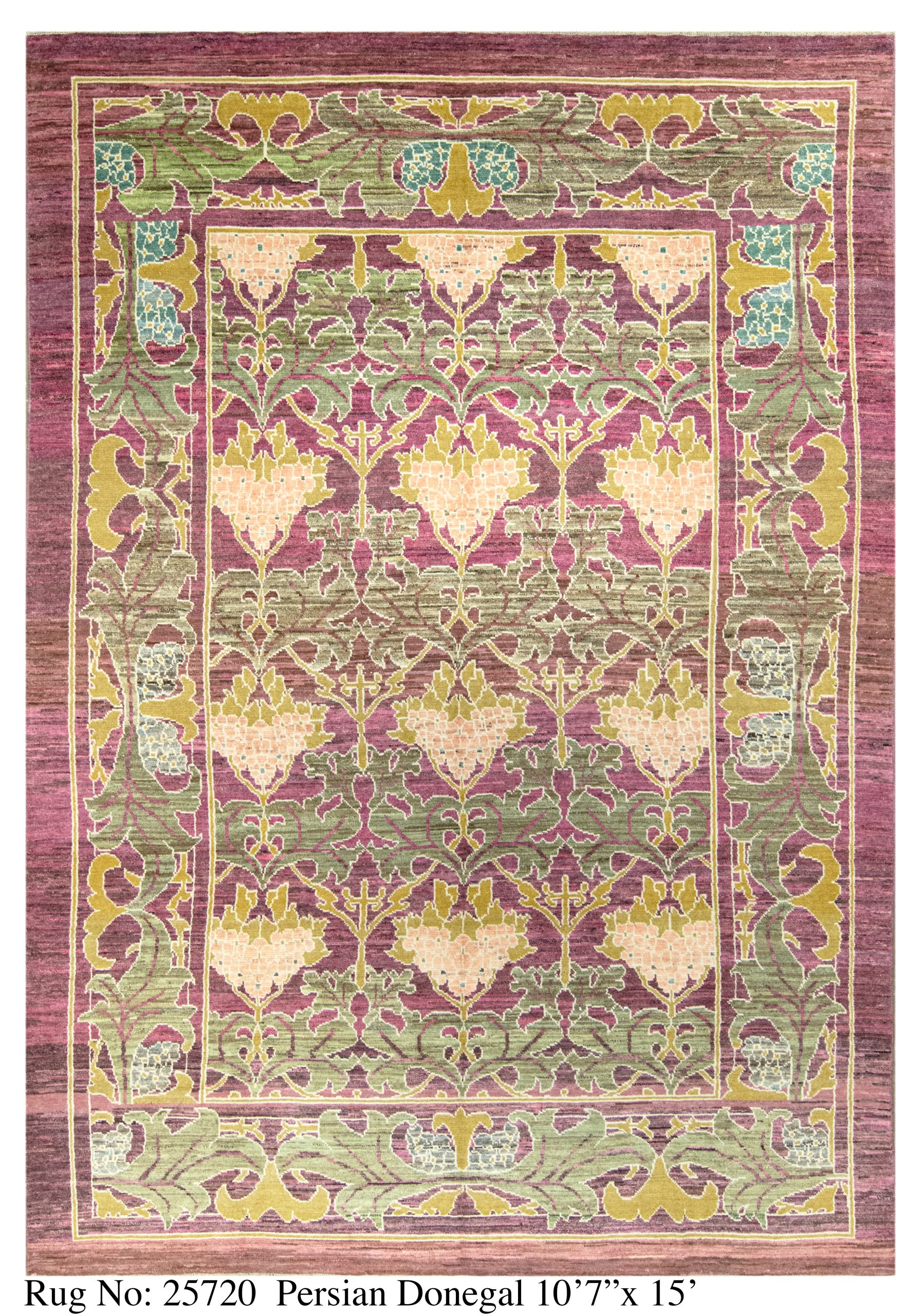 Rug # 25720 Picture # D5354