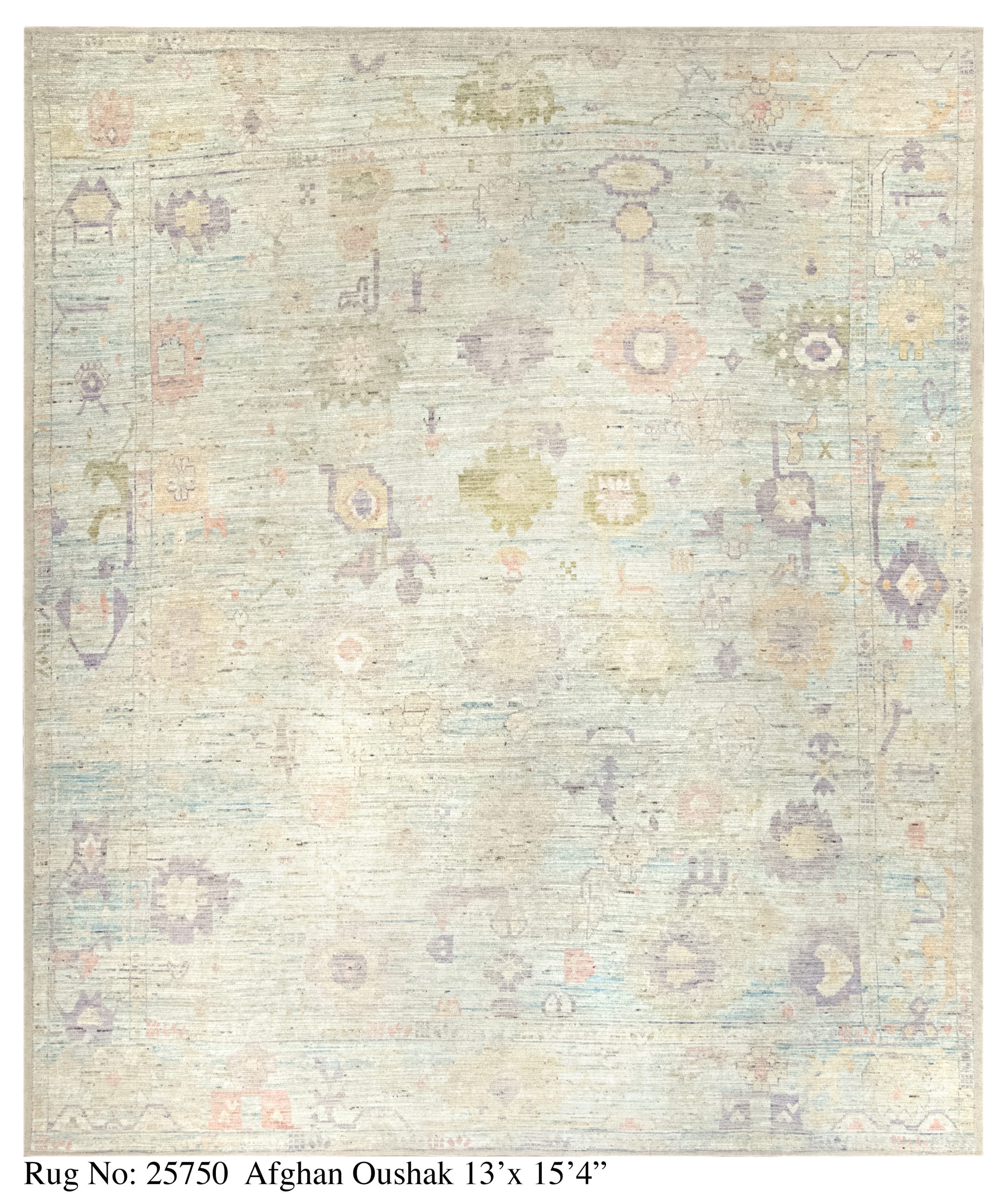 Rug # 25750 Picture # D5458