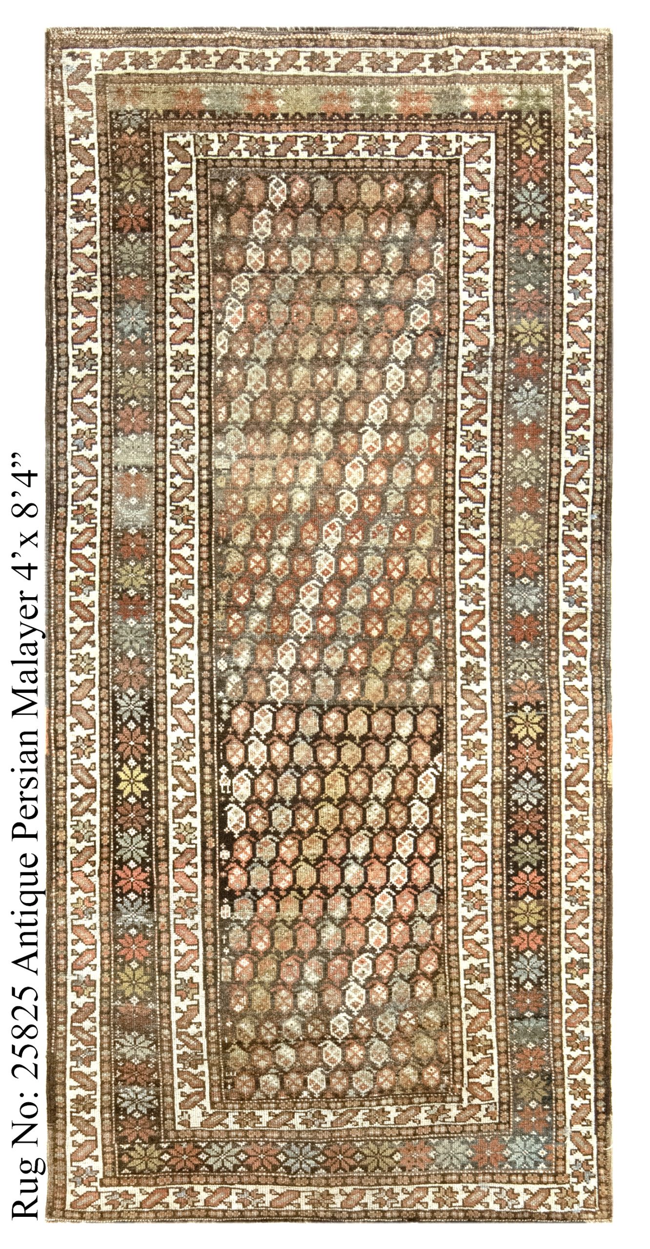 Rug # 25825 Picture # D5552