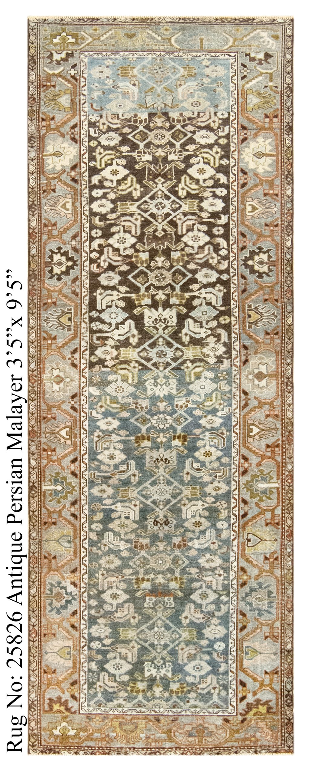 Rug # 25826 Picture # D5549