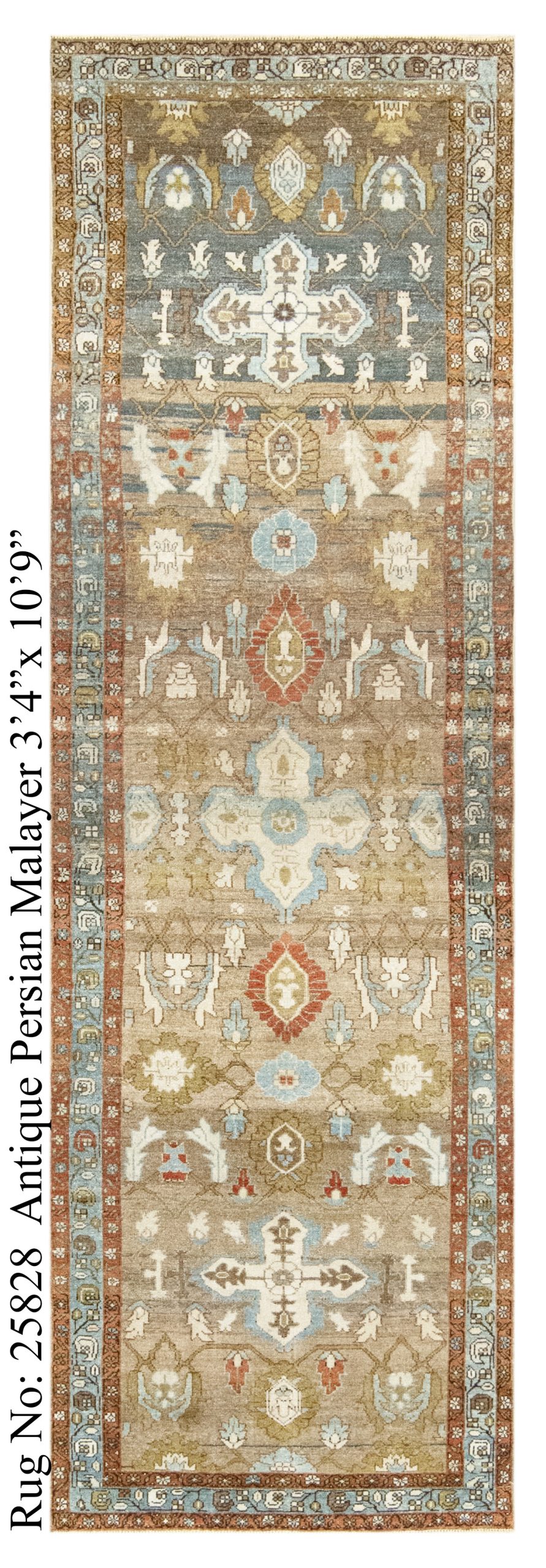 Rug # 25828 Picture # D5555