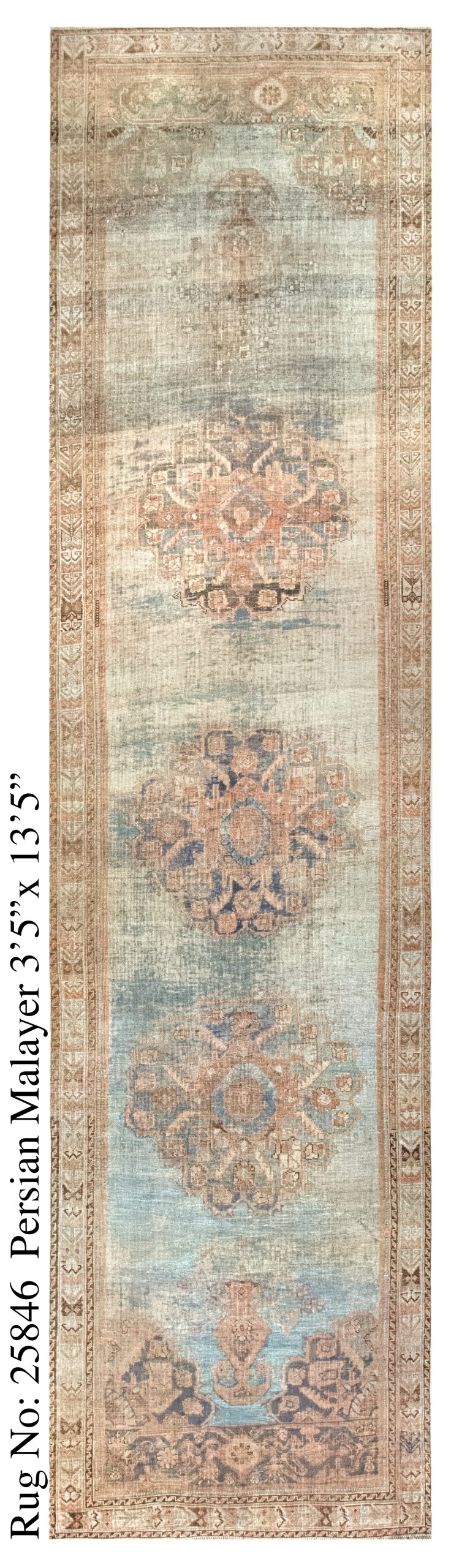 Rug # 25846 Picture # D5688
