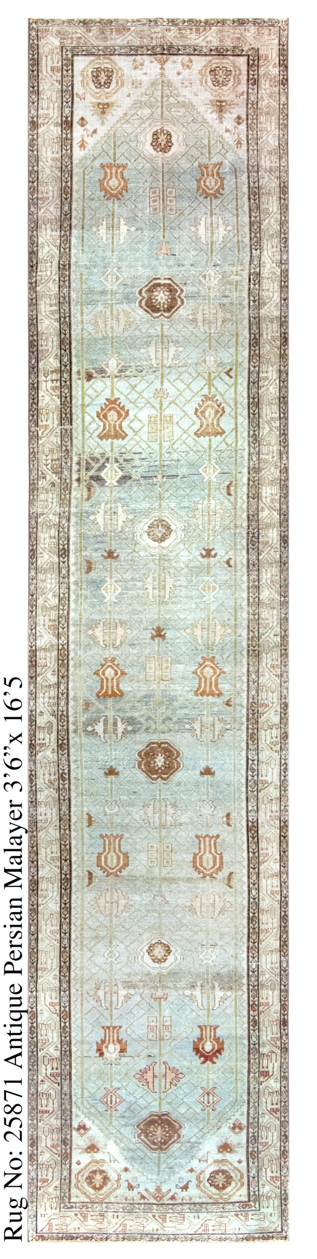 Rug # 25871 Picture # D6167