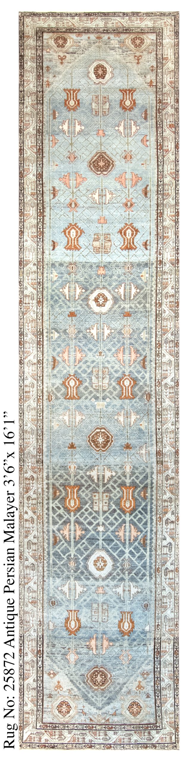 Rug # 25872 Picture # D6164