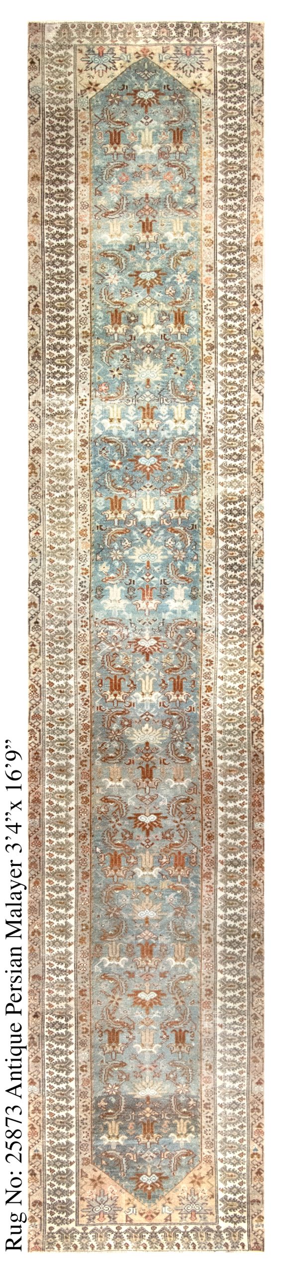 Rug # 25873 Picture # D6161