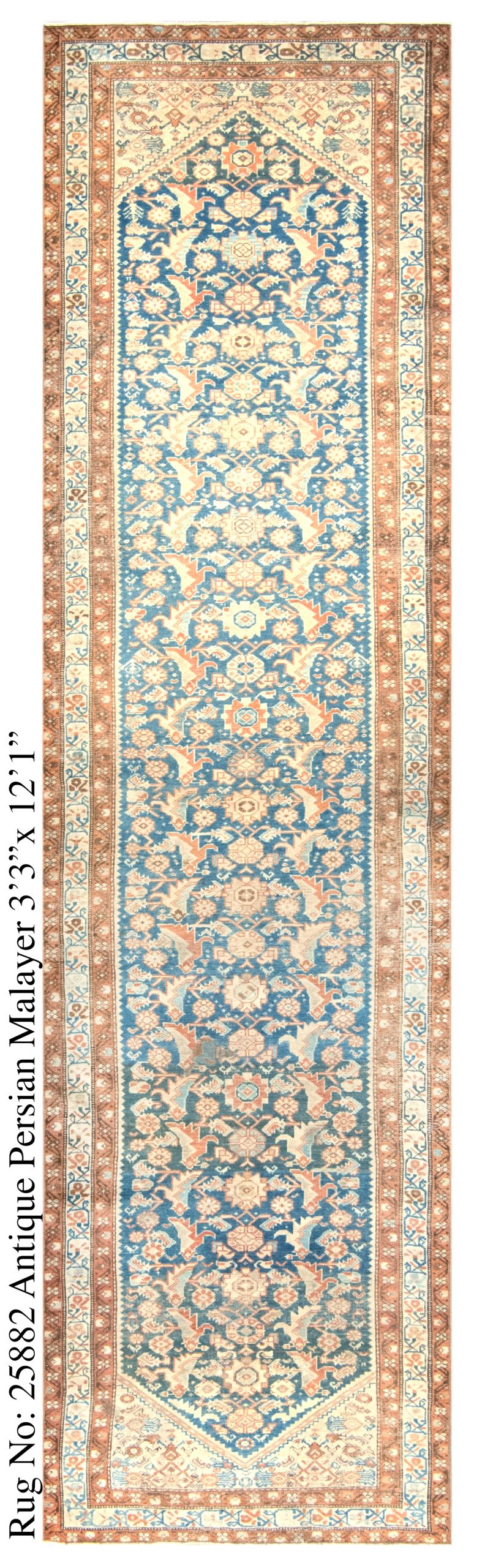 Rug # 25882 Picture # D6252