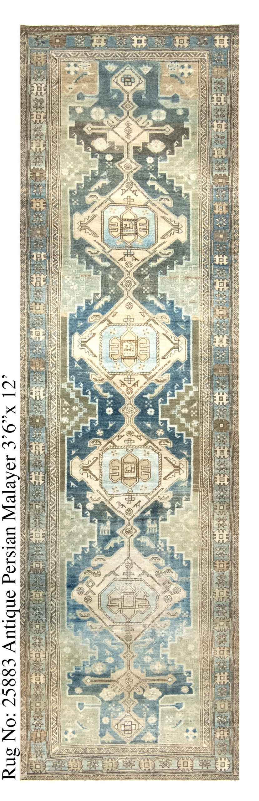 Rug # 25883 Picture # D6246