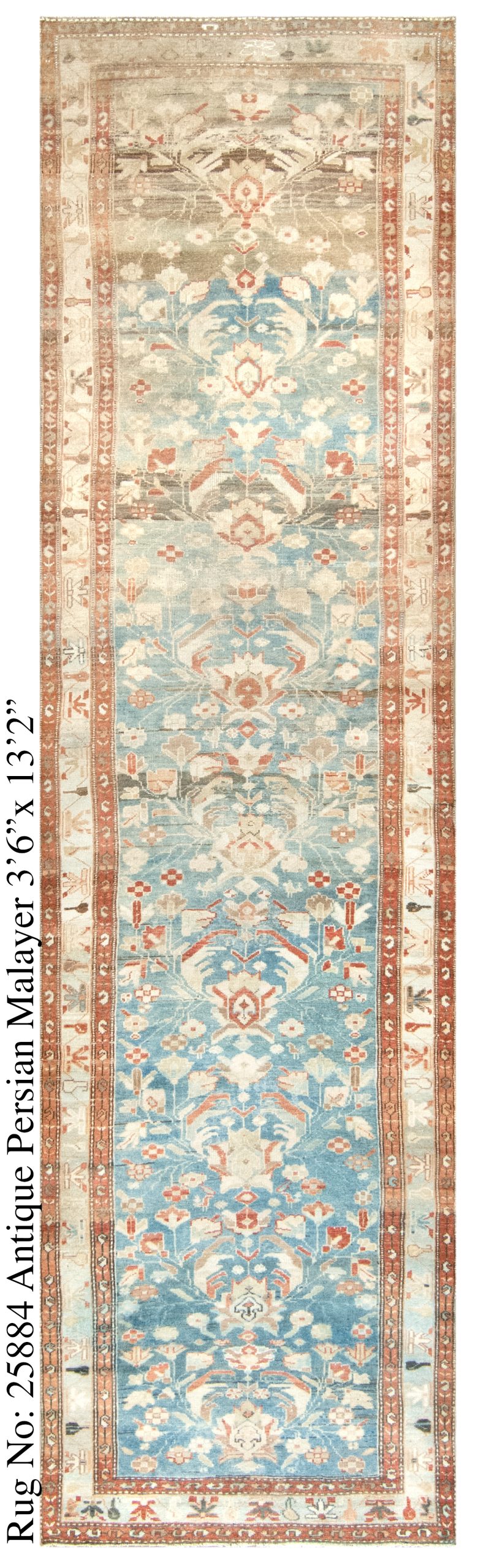 Rug # 25884 Picture # D6242