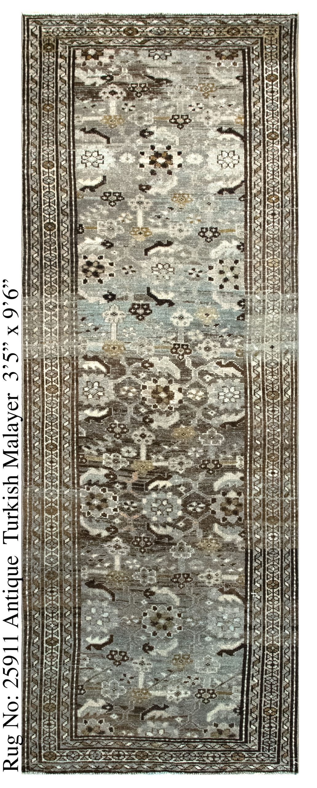 Rug # 25911 Picture # D7021