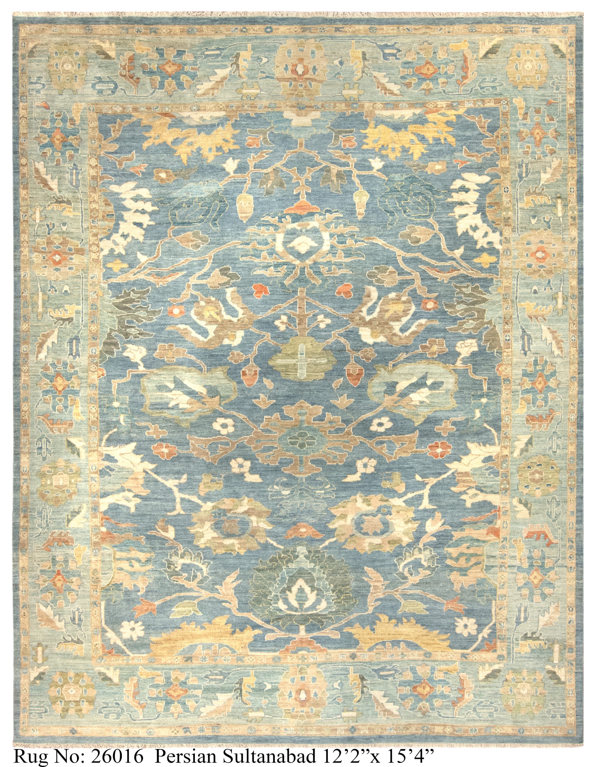 Rug # 26016 Picture # D7831