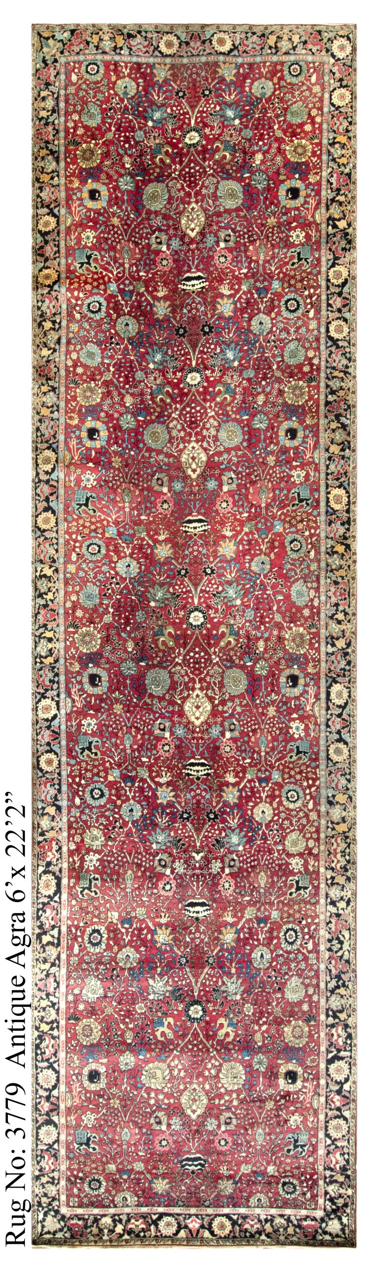 Rug # 3779 Picture # D5546